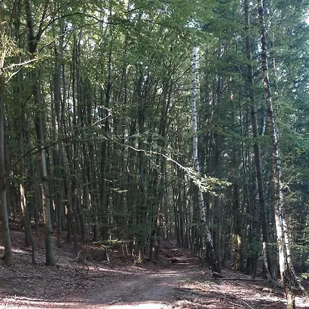 아파트 An Der Bicke