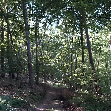 Apartament An Der Bicke