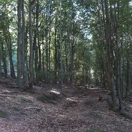 An Der Bicke Dehringhausen