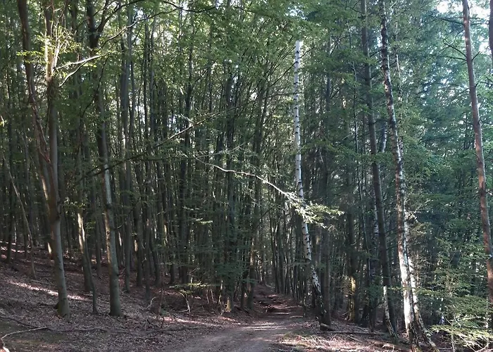 Appartement An Der Bicke