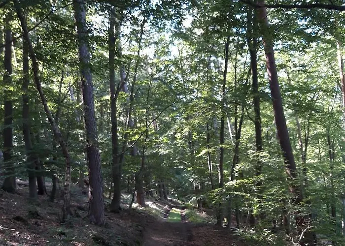 Appartement An Der Bicke