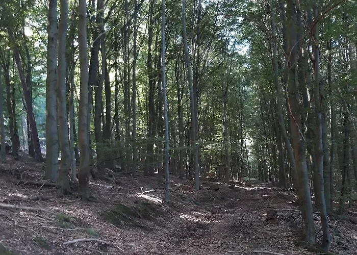 An Der Bicke Dehringhausen